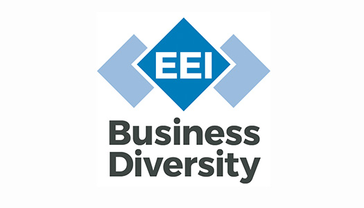 EEI Business Diversity logo