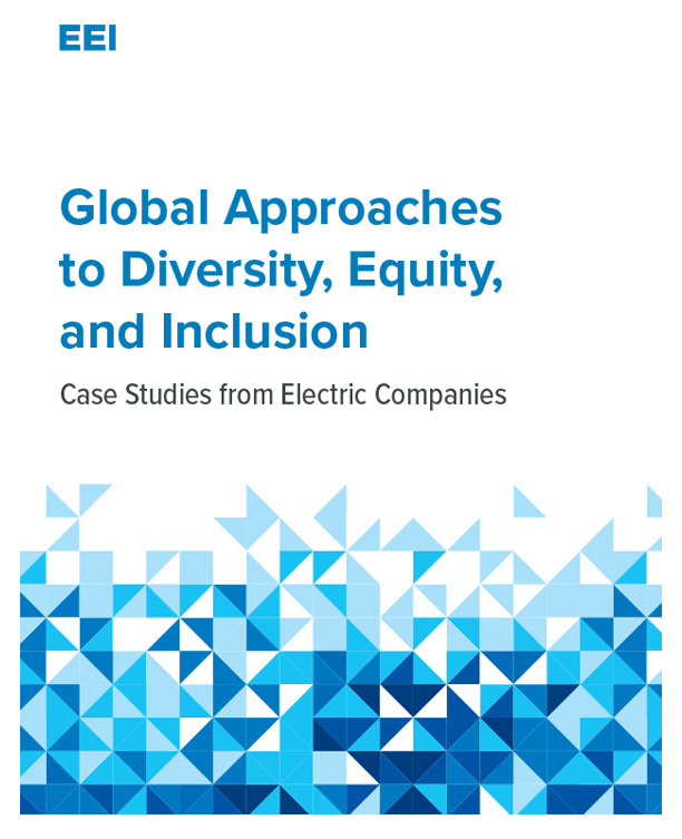 Global Approaches to Diversity, Equity & Inclusion cover