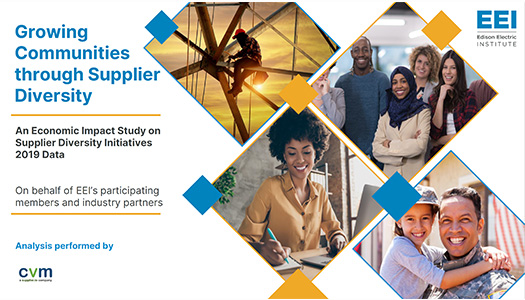 Supplier Diversity Impact Study Cover