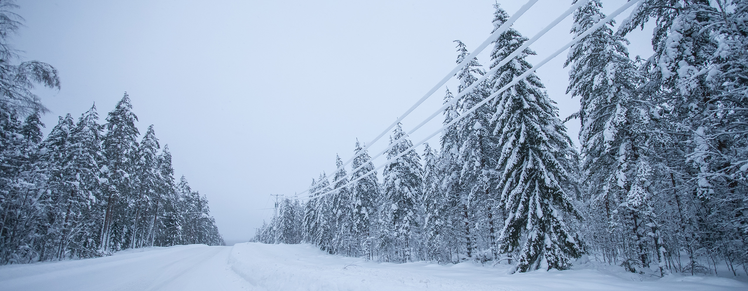 Wintry road with power lines along trees